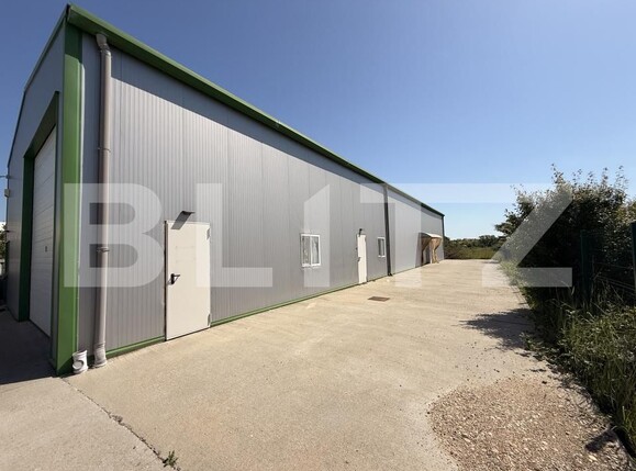 Spațiu industrial de închiriat Exterior Est - 203664SII | BLITZ Craiova | Poza11