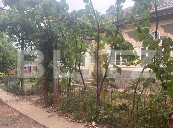 Casa de vânzare 6 camere Leu - 203669CV | BLITZ Craiova | Poza9