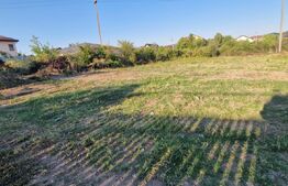 Teren intravilan de vanzare, 500 mp, zona Garlesti