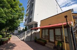 Spațiu comercial de inchiriat, 25 mp, zona Cornitoiu