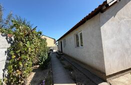 Casa parter, 70 mp utili, 250 mp teren, zona Parcul Tineretului (Cantonament)