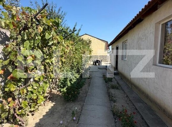 Casa de vânzare 3 camere Lascar Catargiu - 203739CV | BLITZ Craiova | Poza9