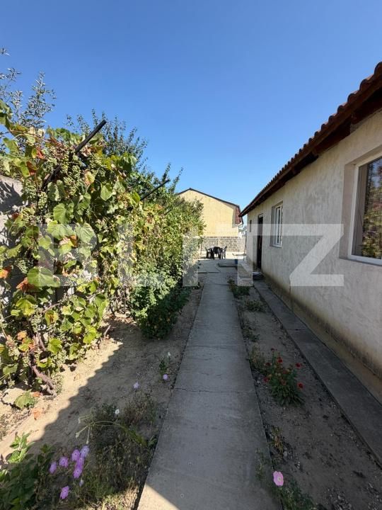 Casa de vânzare 3 camere Lascar Catargiu - 203739CV | BLITZ Craiova | Poza9