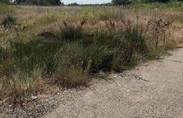Teren intravilan, 4950 mp, deschidere 100 m la E70, zona Isalnita/Almăj