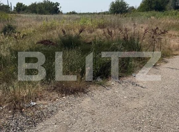 Teren de vânzare Almaj - 203742TV | BLITZ Craiova | Poza1