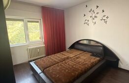 🏠 Apartament 2 camere de închiriat – Brazda lui Novac