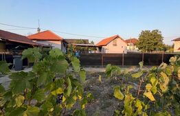 Casa de vanzare, 80 mp, teren 2330 mp, zona Arginesti