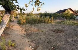 Casa de vanzare, 80 mp, teren 2330 mp, zona Arginesti
