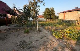 Casa de vanzare  in Arginesti