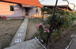 Casa de vanzare  in Arginesti