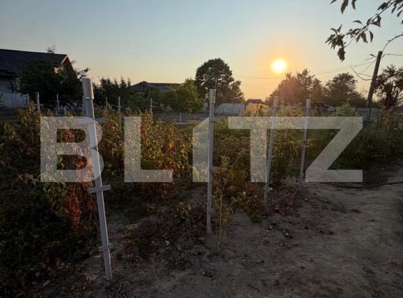 Casa de vânzare 3 camere Filiaşi - 203748CV | BLITZ Craiova | Poza16