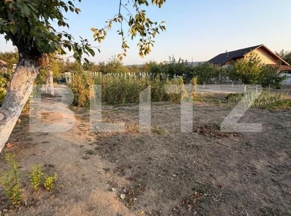 Casa de vânzare 3 camere Filiaşi - 203748CV | BLITZ Craiova | Poza13