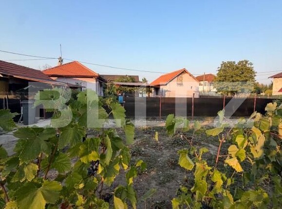 Casa de vânzare 3 camere Filiaşi - 203748CV | BLITZ Craiova | Poza12