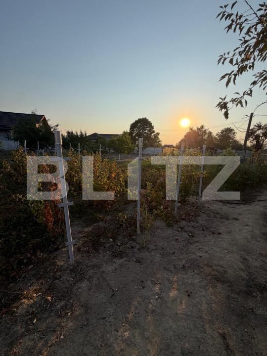 Casa de vânzare 3 camere Filiaşi - 203748CV | BLITZ Craiova | Poza16