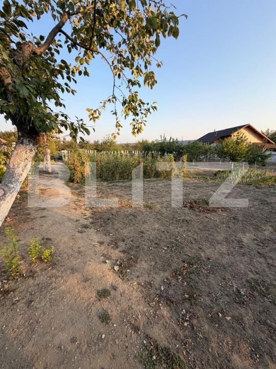 Casa de vânzare 3 camere Filiaşi - 203748CV | BLITZ Craiova | Poza13