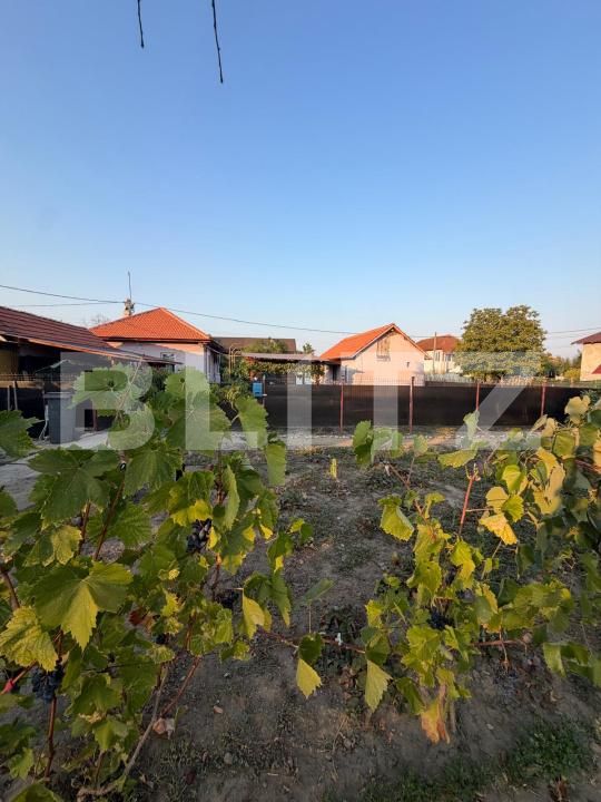 Casa de vânzare 3 camere Filiaşi - 203748CV | BLITZ Craiova | Poza12