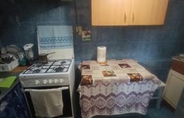 CASĂ PARTER 91MP, BRESTEI, TEREN 152MP