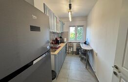 Garsonieră modernă, prima închiriere – Brazda lui Novac, Bd. Dacia