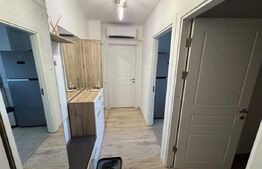 Garsonieră modernă, prima închiriere – Brazda lui Novac, Bd. Dacia