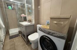Garsonieră modernă, prima închiriere – Brazda lui Novac, Bd. Dacia