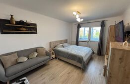 Garsonieră modernă, prima închiriere – Brazda lui Novac, Bd. Dacia