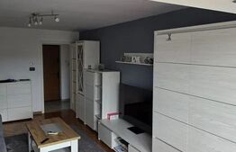Apartament 3 camere, 62 mp Craiovita Noua