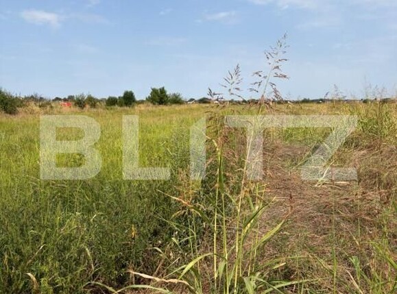 Teren de vânzare Malu Mare - 203848TV | BLITZ Craiova | Poza2