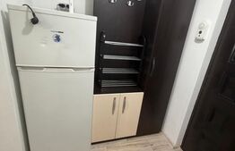 Garsoniera renovata de inchiriat, 31 mp, zona Brazda lui Novac