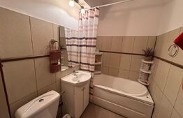 Apartament 2 camere, 47 mp, zona Maestro 