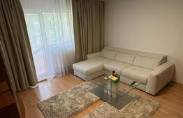 Apartament cu 2 camere, 50 mp, zona Brazda lui Novac 