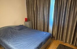 Apartament cu 2 camere, 50 mp, zona Brazda lui Novac 