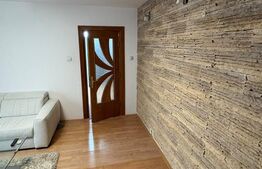 Apartament cu 2 camere, 50 mp, zona Brazda lui Novac 