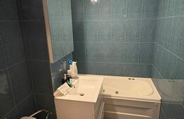 Apartament cu 2 camere, 50 mp, zona Brazda lui Novac 