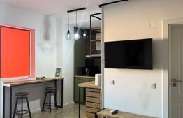 Studio de inchiriat, 40 mp, zona Rovine