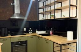 Studio de inchiriat, 40 mp, zona Rovine