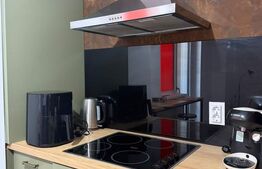Studio de inchiriat, 40 mp, zona Rovine