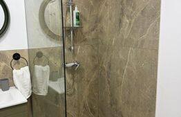 Studio de inchiriat, 40 mp, zona Rovine