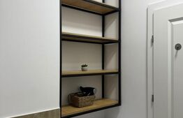 Studio de inchiriat, 40 mp, zona Rovine