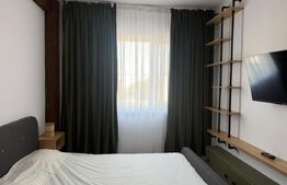 Studio de inchiriat, 40 mp, zona Rovine