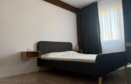 Studio de inchiriat, 40 mp, zona Rovine