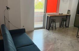 Studio de inchiriat, 40 mp, zona Rovine