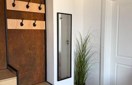 Studio de inchiriat, 40 mp, zona Rovine