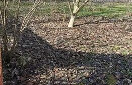 Teren extravilan de vanzare, 540 mp, zona Braniste