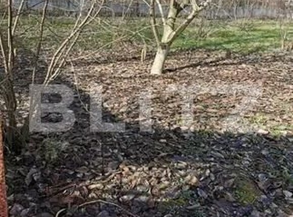 Teren de vânzare Branişte (Podari) - 204068TV | BLITZ Craiova | Poza3