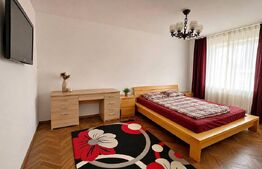 Apartament de vânzare 2 camere Lapus Arges - 204408AV | BLITZ Craiova | Poza4