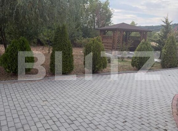Casa de vânzare 3 camere Filiaşi - 204195CV | BLITZ Craiova | Poza14