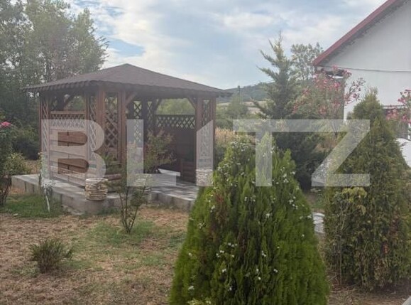 Casa de vânzare 3 camere Filiaşi - 204195CV | BLITZ Craiova | Poza15