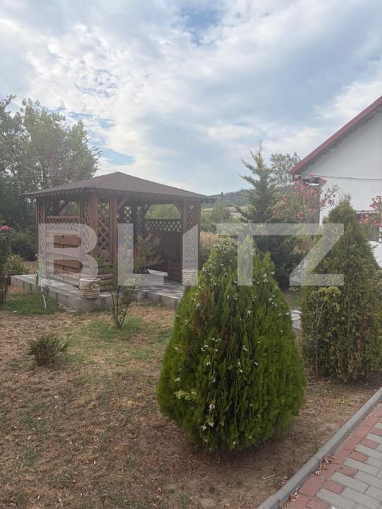 Casa de vânzare 3 camere Filiaşi - 204195CV | BLITZ Craiova | Poza15