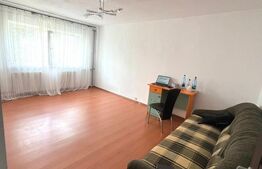 Apartament 2 camere, 50 mp, zona Rovine 