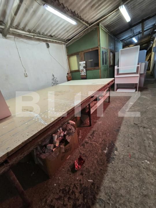 Spațiu industrial de închiriat Calea Severinului - 204241SII | BLITZ Craiova | Poza4